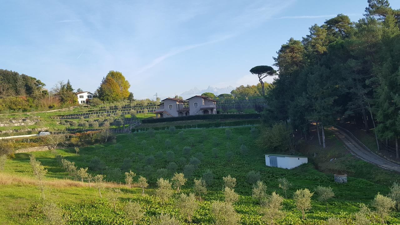 B&B Podere Montese 卢尼贾纳自由镇 外观 照片