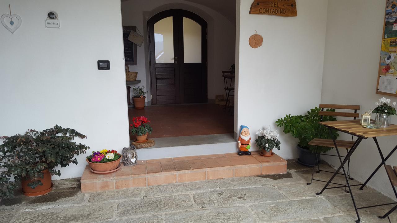 B&B Podere Montese 卢尼贾纳自由镇 外观 照片