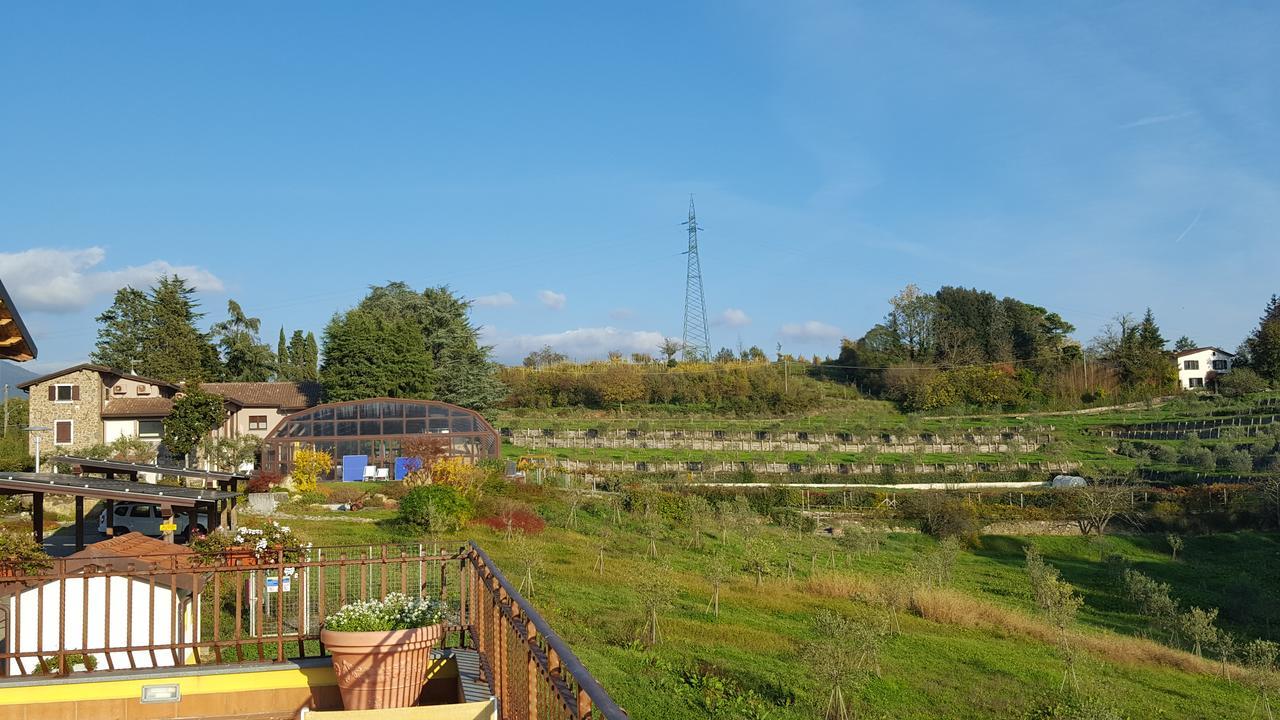 B&B Podere Montese 卢尼贾纳自由镇 外观 照片