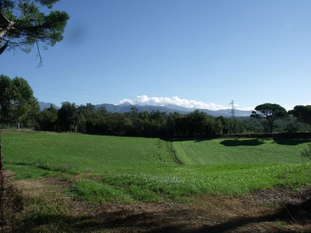 B&B Podere Montese 卢尼贾纳自由镇 外观 照片