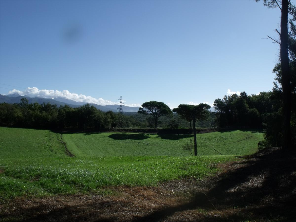 B&B Podere Montese 卢尼贾纳自由镇 外观 照片